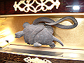 DSCF0032_thumb.png
