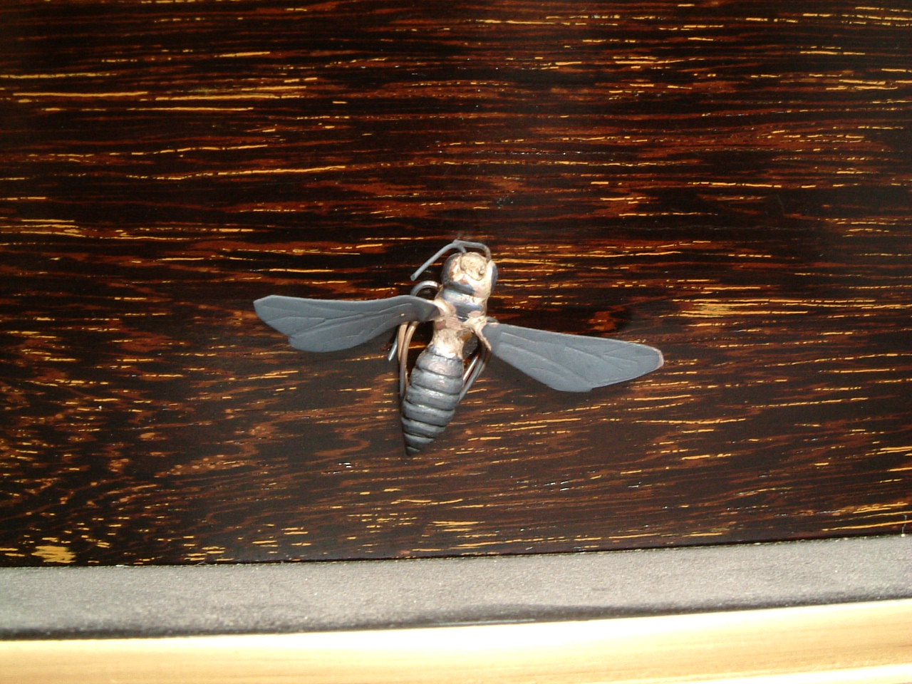 DSCF0038.JPG