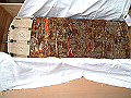 DSCF0040_thumb.png